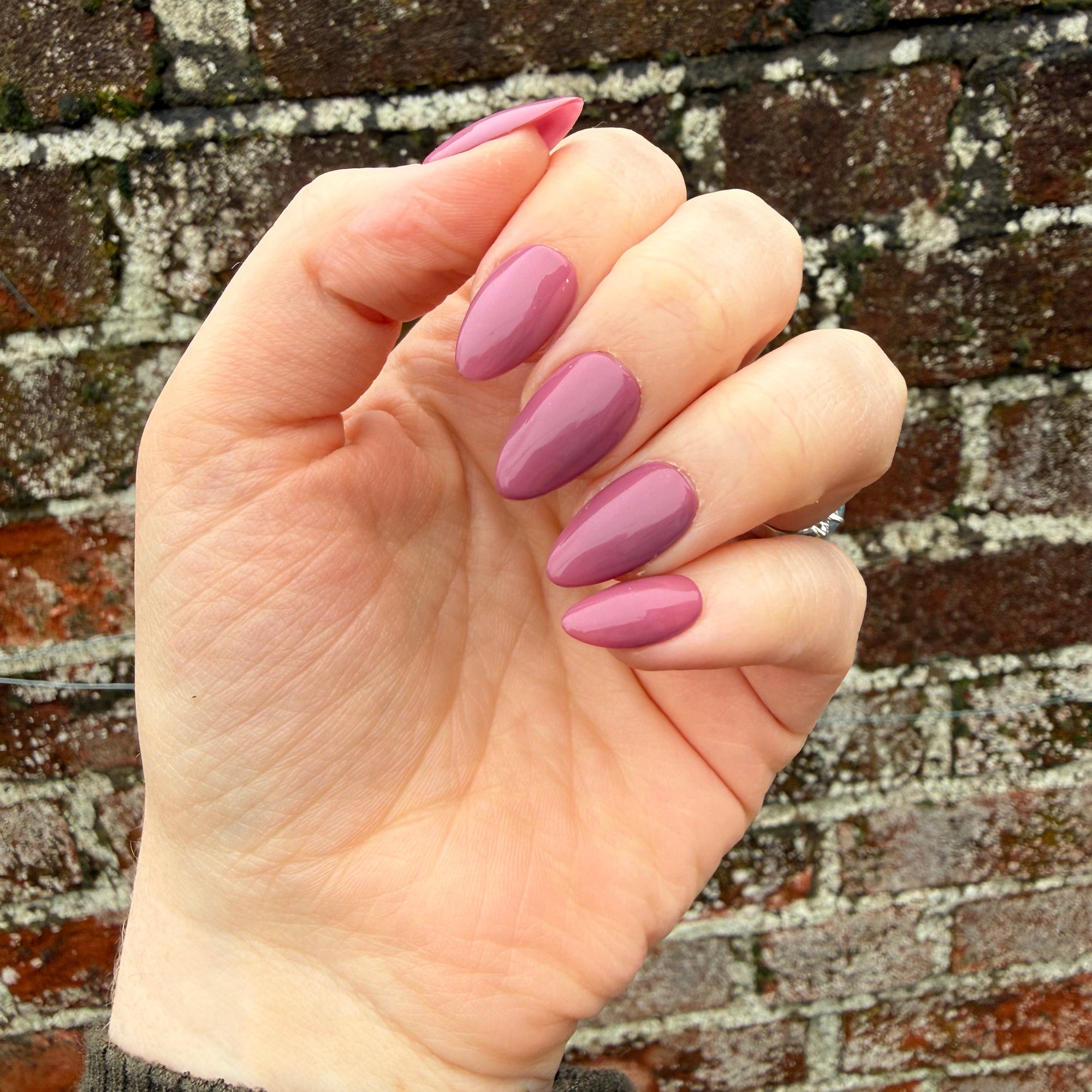 Dusky Pink Hand-Painted Press-On Nails